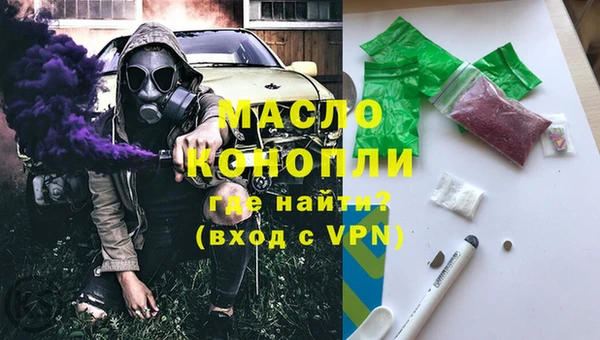 ешки Инта