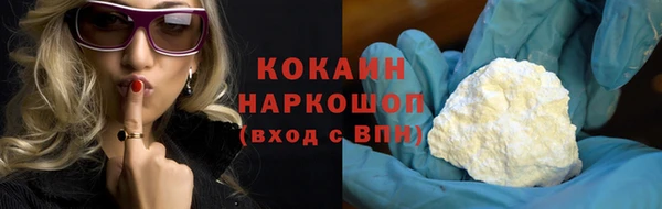 ешки Инта