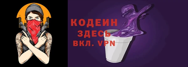 ешки Инта