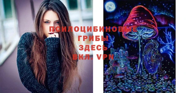 круглые Инсар