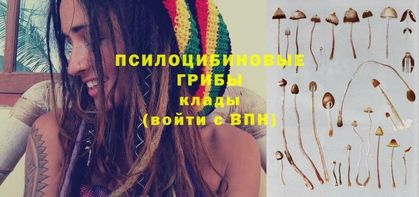 ешки Инта