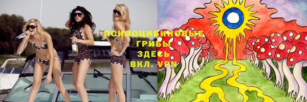 ешки Инта