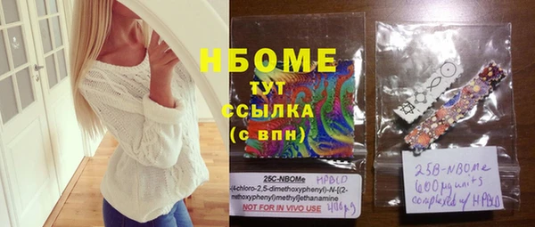 ешки Инта